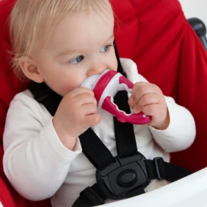 Britton Food Feeder 6m+, BERRY