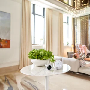 Bebcare Hear audio baby monitor set in a living room