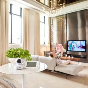 Bebcare Motion baby monitor set in a living room